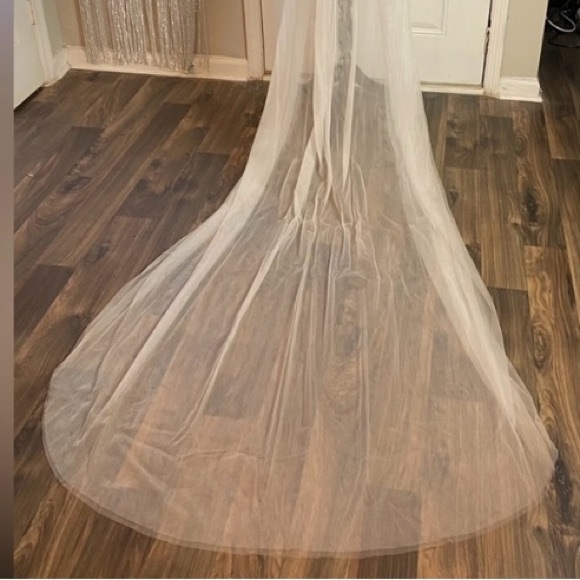 Cathedral Length Ivory Veil